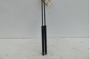 Renault Megane 2 Grandtour Bj.2004 Gasdruckd&auml;mpfer Heckklappe